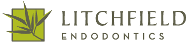Link to Litchfield Endodontics home page